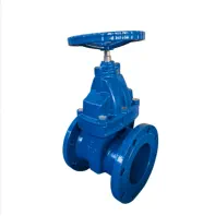 AWWA Resilient Gate Valve (NRS) — AWWA C509 / C515 · DN40 – DN600