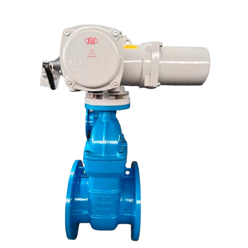 صمام بوابة كهربائي (Z945X/Z941X) Z945X / Z945T / Z941X / Z941T